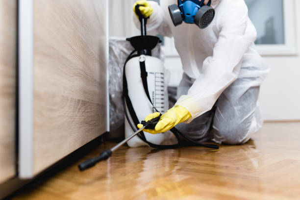 Best Ant Control Services  in Monticello, FL