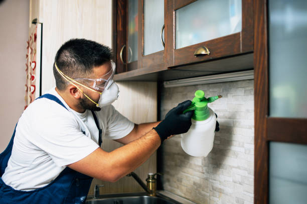 Best Pest Inspection Near Me  in Monticello, FL