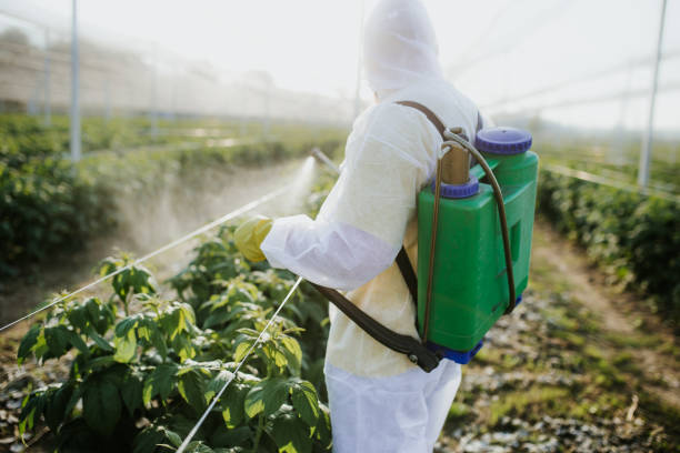 Best Pest Control Near Me  in Monticello, FL